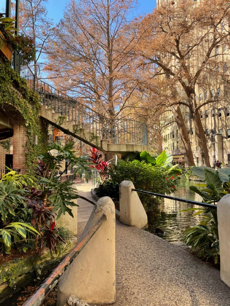 the walkway is lined with plants and trees