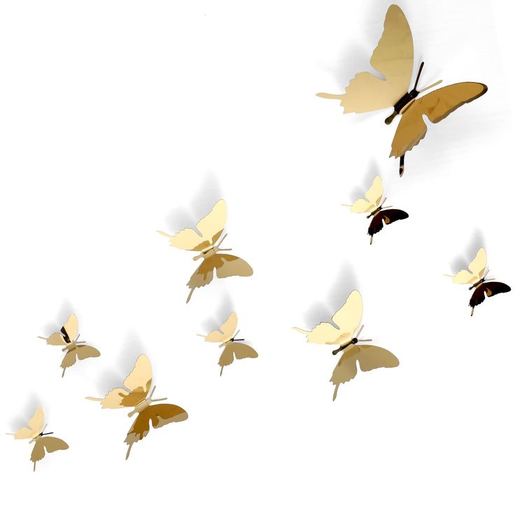 a group of butterflies flying through the air with shadows on it's back side