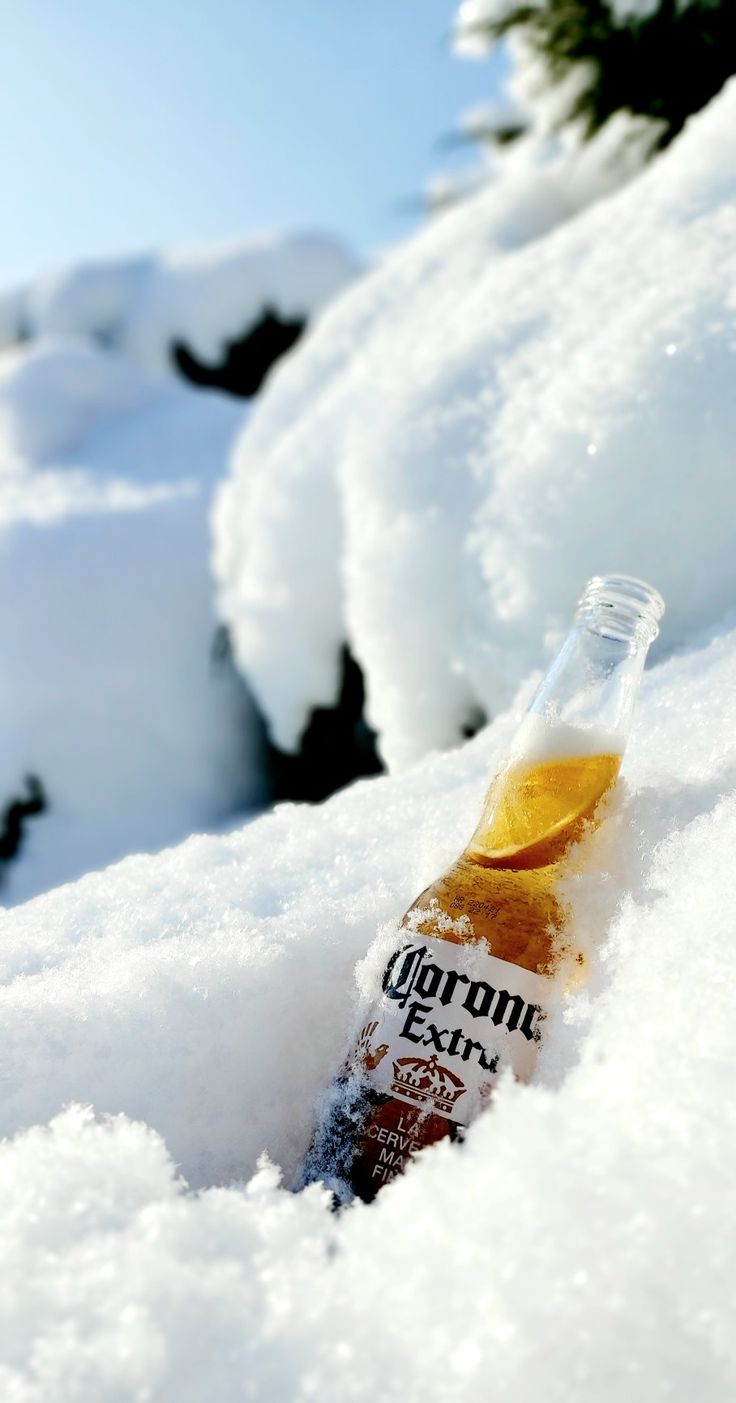 Corona Extra in snow Beer Ads, Ice Cold Beer, Beer Ad, Best Beer, Food And Drink, Beer, Wine, Collage, Pins