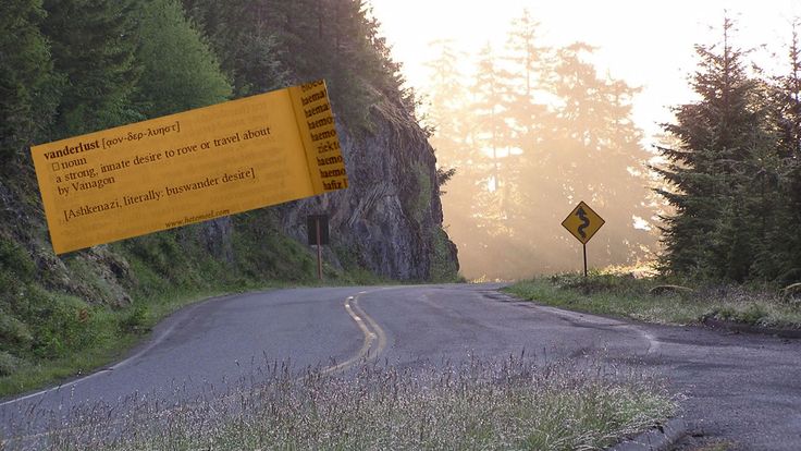 a yellow sign sitting on the side of a road next to a lush green forest