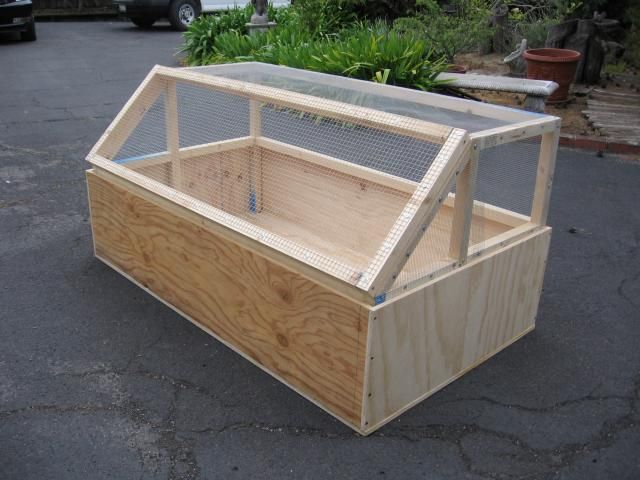 a large wooden box sitting on top of a parking lot next to a building with a chicken cage in it