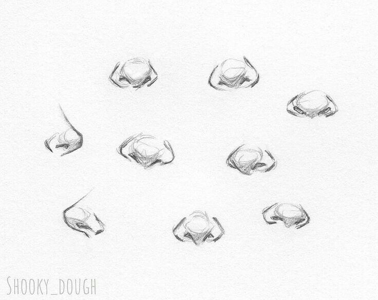 several different shapes and sizes of water droplets