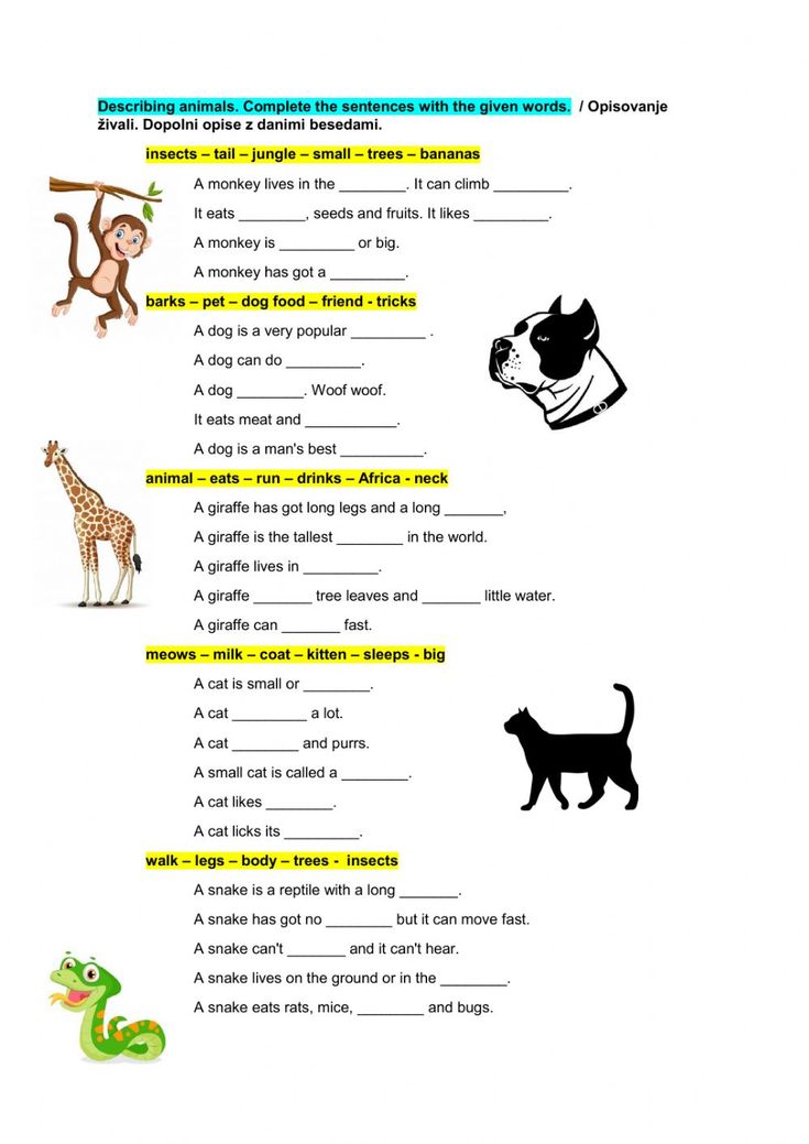 an animal worksheet with pictures and words to help students understand what animals are