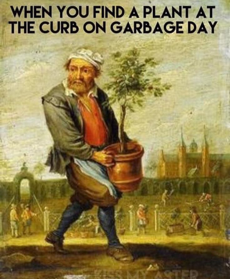 an old man carrying a pot with the words when you find a plant at the curb on garbage day