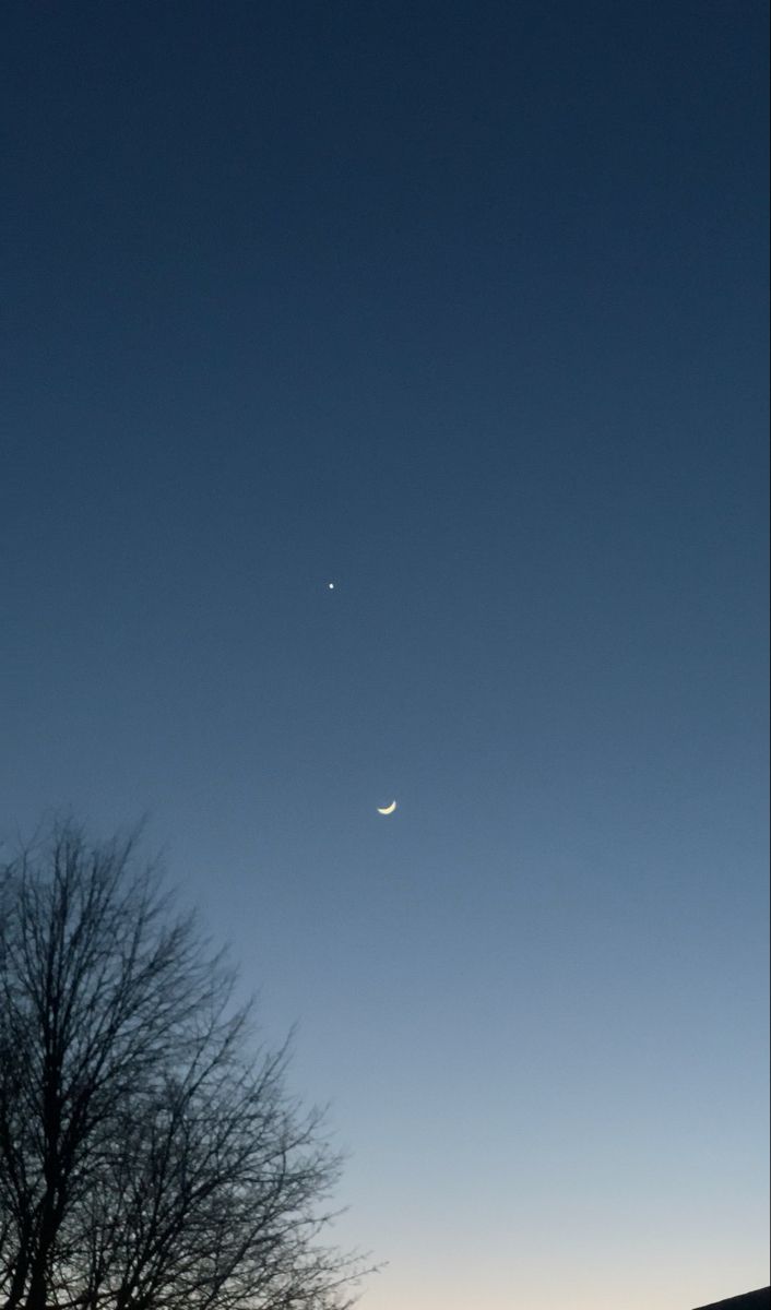 the moon and venus are seen in the sky above trees on a cold winter's day