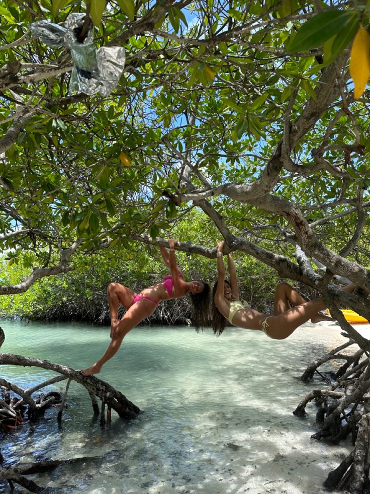 two people hanging from trees in the water