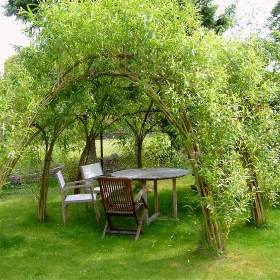 a table and chairs under an arbor in the grass