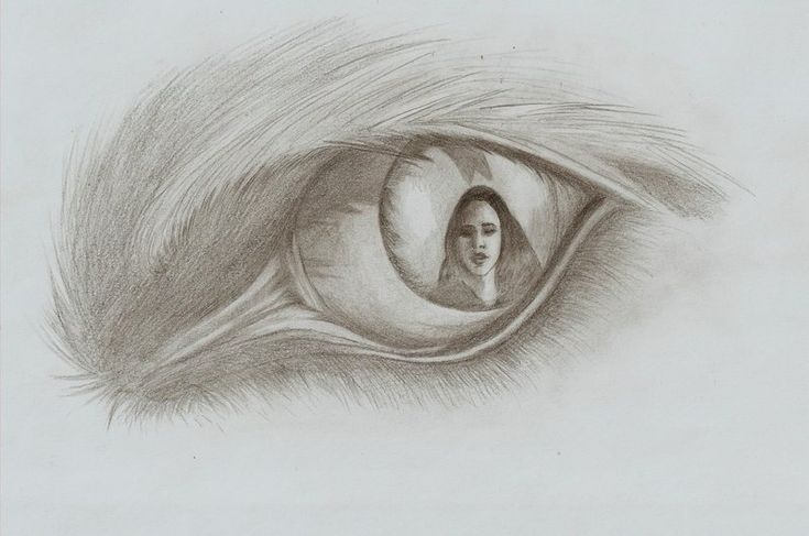 a pencil drawing of an eye with a woman's face reflected in the iris