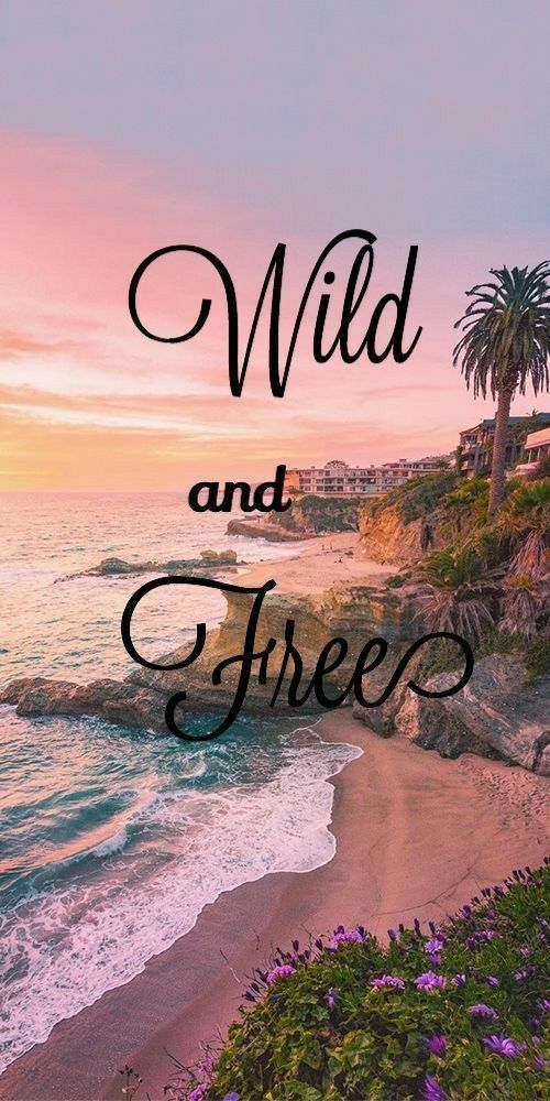 the words wild and free are in front of an image of a beach with palm trees