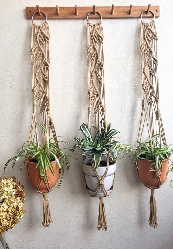 three hanging planters with plants in them on a wall next to a potted plant