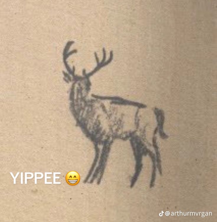 a drawing of a deer with antlers on it