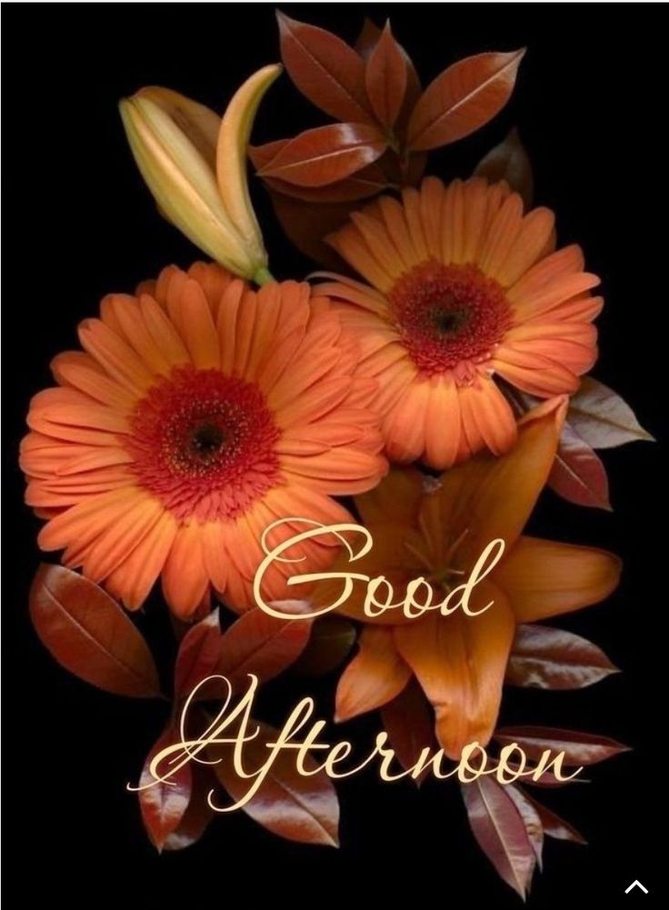 some orange flowers and leaves with the words good afternoon written on them in gold lettering