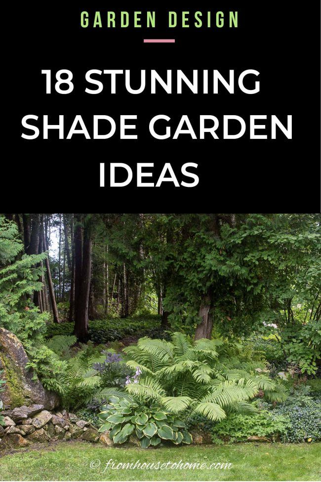 Shade Garden Ideas, Shade Landscaping, Shade Garden Design, Shade Gardening, Woodland Gardens, Green Gardens, Backyard Layout, Ferns Garden, Shade Garden Plants