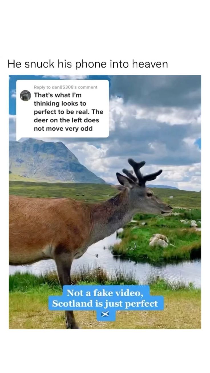 a deer with antlers on it's head is standing in front of a lake