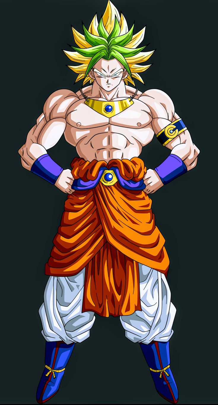 Goku DBS Broly Design