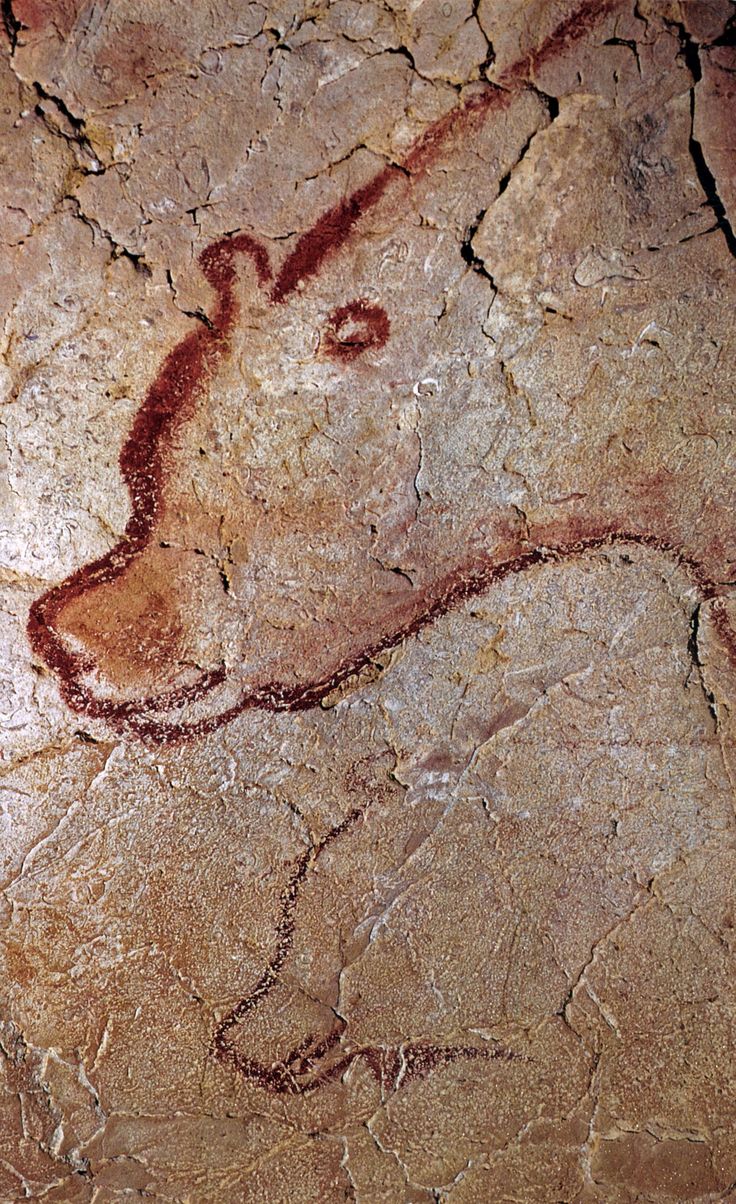 an animal's head is depicted on the rock wall in this cave painting,