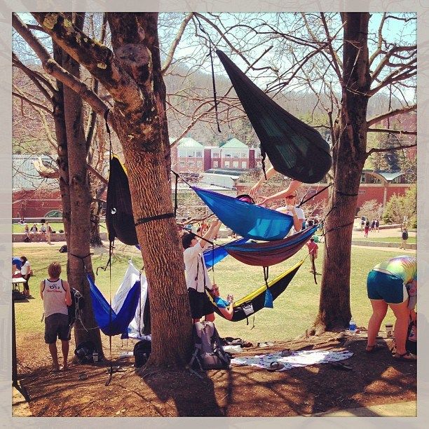 several people are hanging out in hammocks near trees