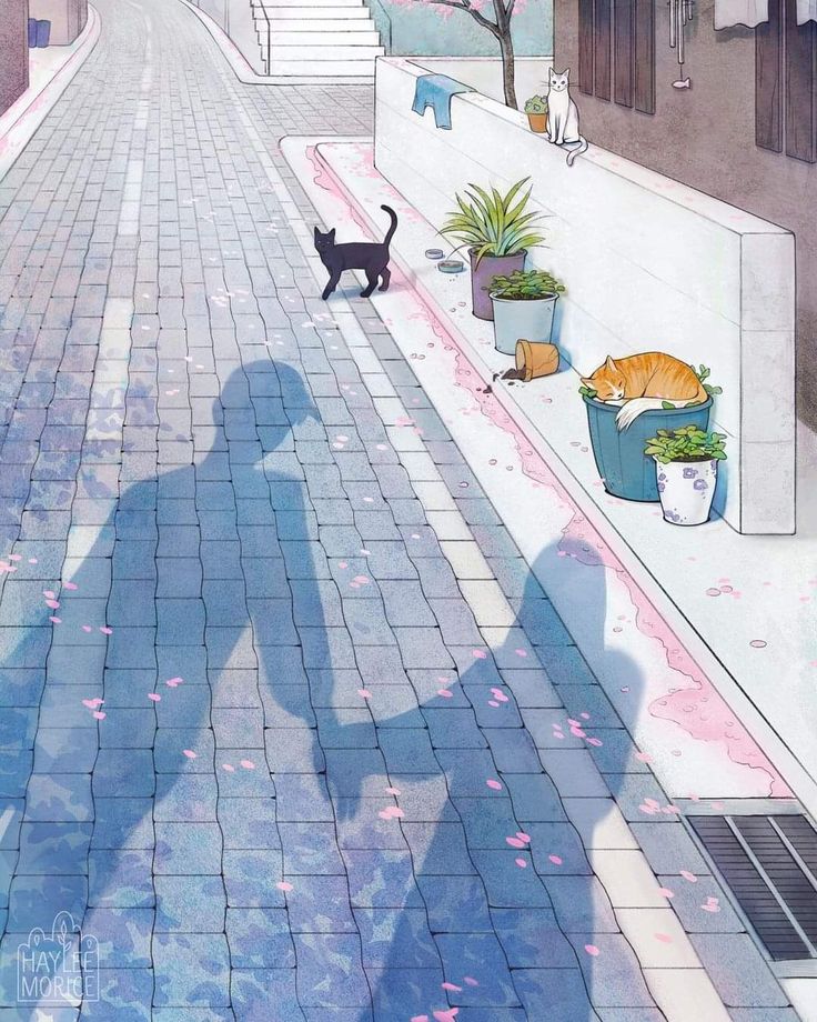 a black cat walking down a street next to potted plants and flowers on the sidewalk