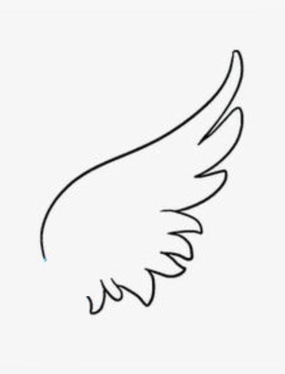 the outline of an angel's wing on a white background