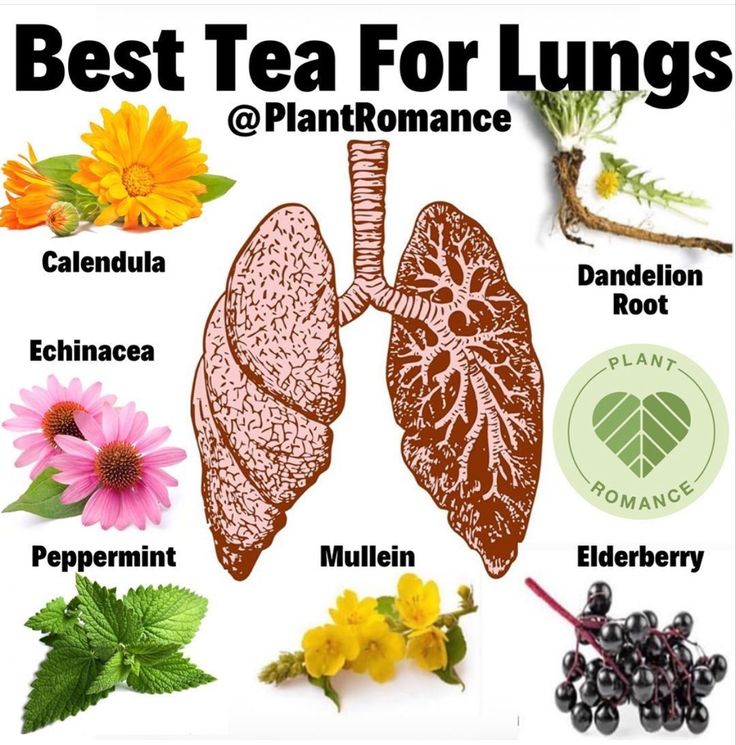 Tea For Lungs, Books And Tea, Tea Remedies, Healing Tea, Medical Herbs, Herbal Teas Recipes, Natural Healing Remedies, Herbal Healing, Home Health Remedies