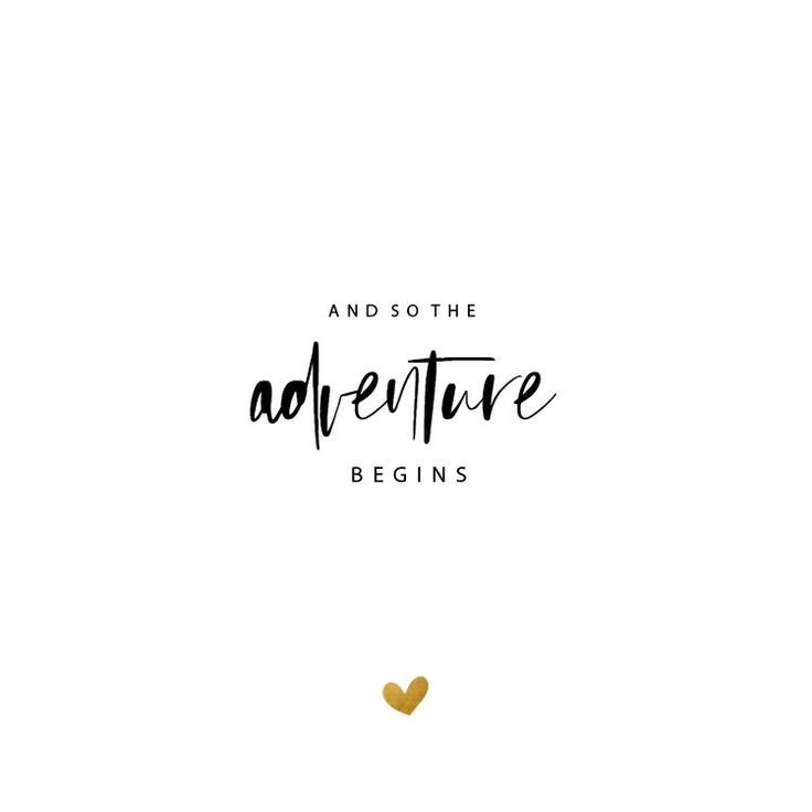 the words, and so the adventure begins are written in black on a white background