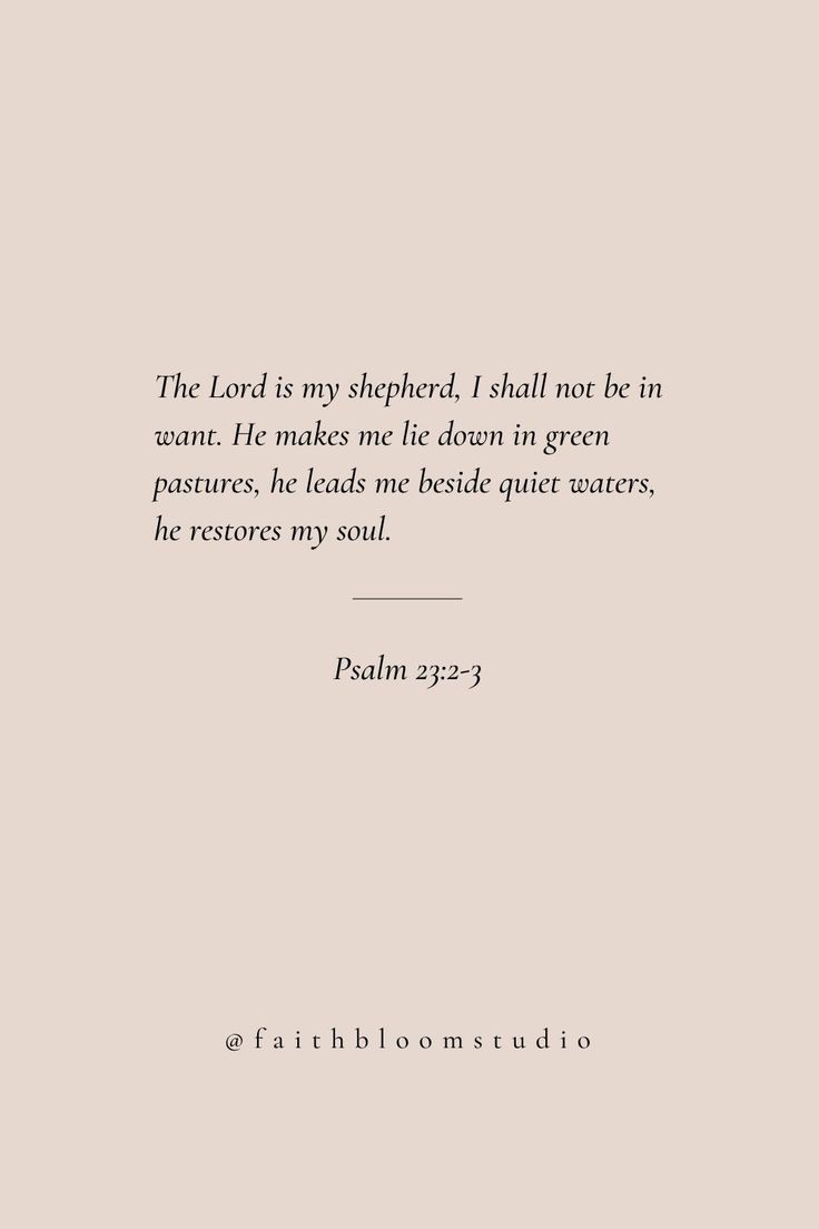 the lord is my shepherd i shall not be in