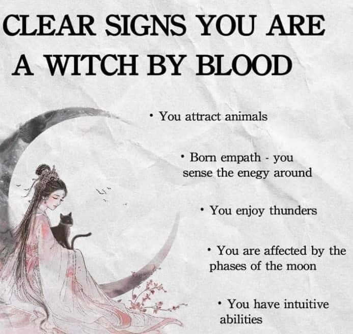 Witch Spells, Pagan Spirituality, Witch Quotes, Wiccan Magic, Witch Tips, Magic Spell Book, Witch Spirituality, Witchy Tips, Eclectic Witch