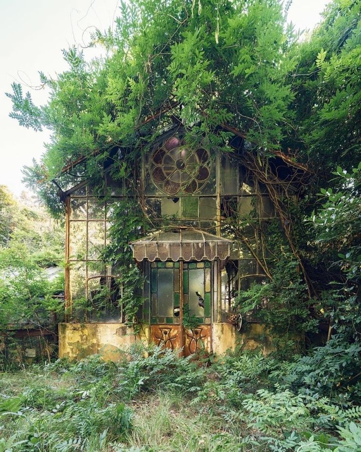 an old house covered in vines and ivys is surrounded by tall green trees on the other side