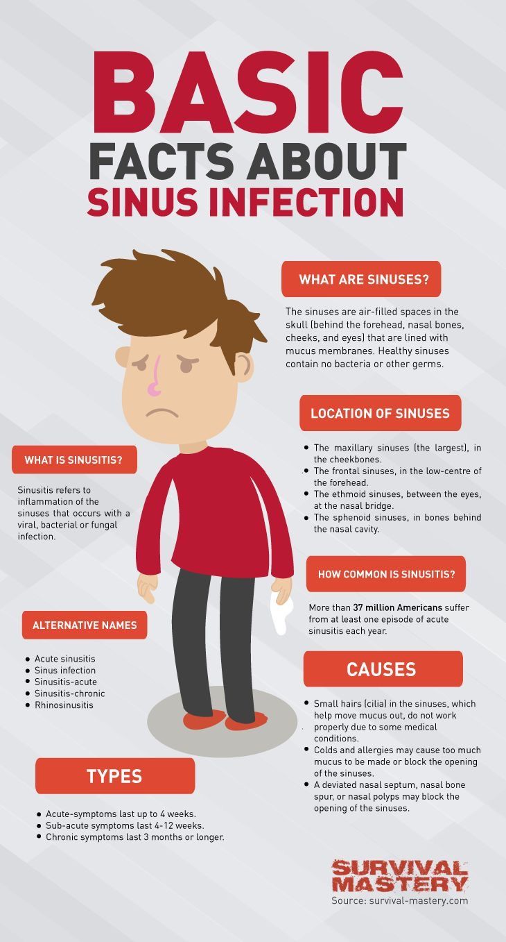 Maxillary Sinus, Congestion Relief, Sinus Congestion, Chest Congestion, Sinus Infection, Basic Facts, Good Health Tips, Health Plan, Food Tips