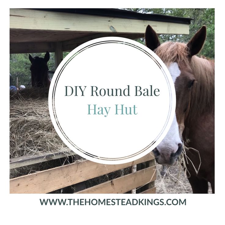 a brown horse standing next to a wooden fence with hay in front of it and the words diy round bale hay hut