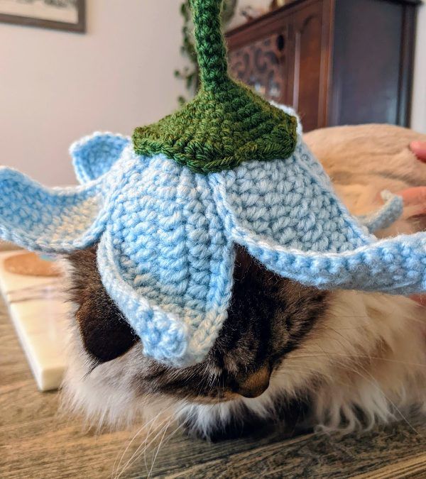 a cat is wearing a knitted hat with an elephant's head on it