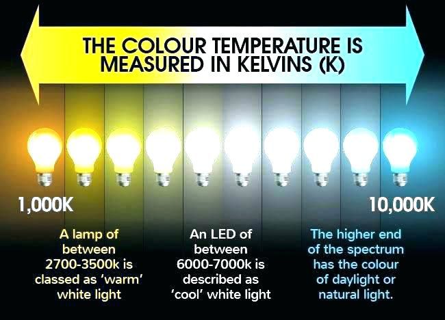 the color temperature is measured in kevins kk's lightbulb