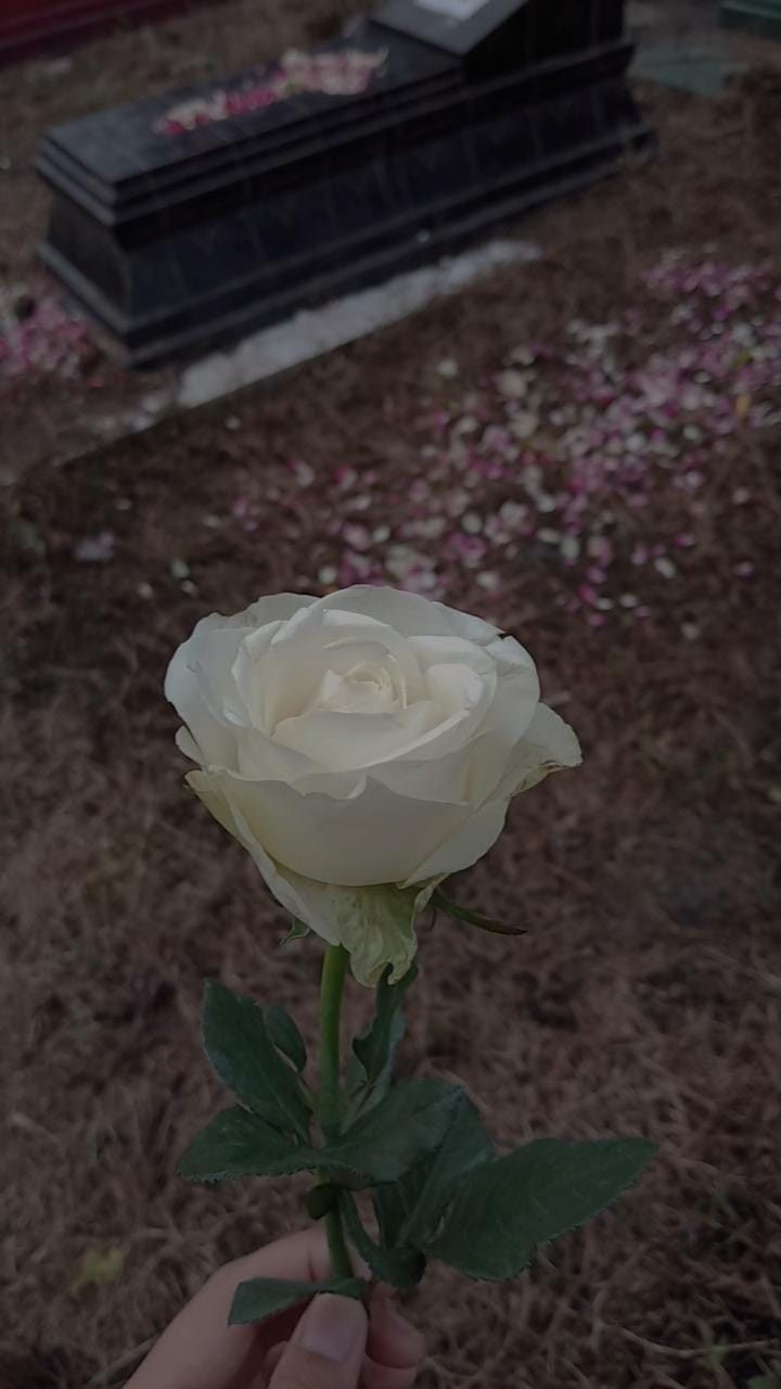 my routine every december–on Christmast, bring those beautiful flowers to my dad's grave. it is beautiful, i love it. it helps me to keep doing something for my lovely dad. Friends Party Night, Grave Flowers, My Routine, Hand Pictures, Insta Profile Pic, Best Poses For Pictures, Cute Love Images, Aesthetic Videos For Edits Love, Couple Wallpaper