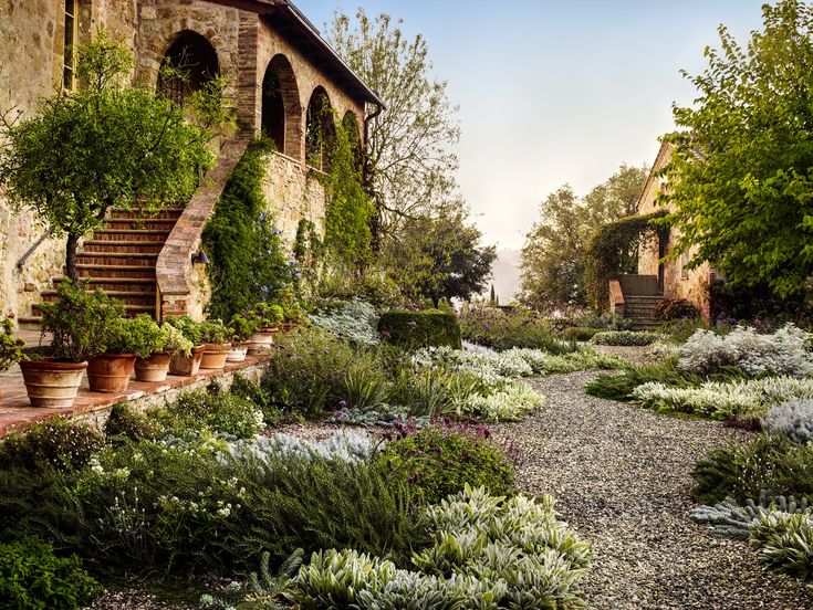 an outdoor garden with many plants and flowers on the ground, next to a stone building