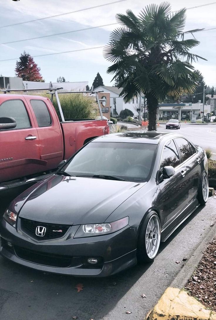 two cars parked next to each other on the side of the road in front of a palm tree