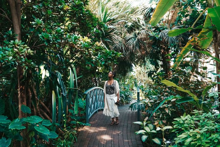 a woman walking across a wooden bridge surrounded by greenery