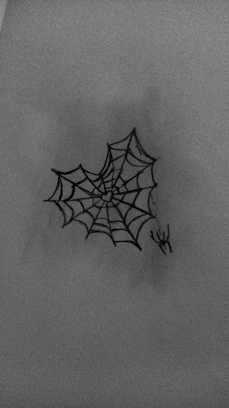 a spider web hanging from the ceiling in black and white