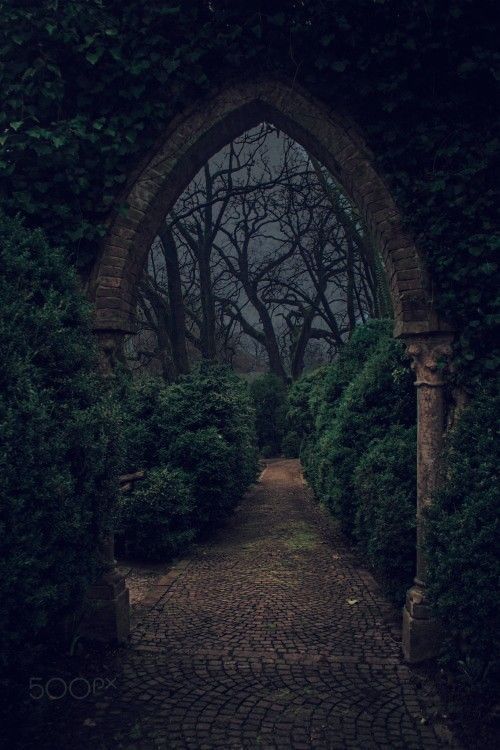 an arch in the middle of a brick walkway with trees and bushes on either side