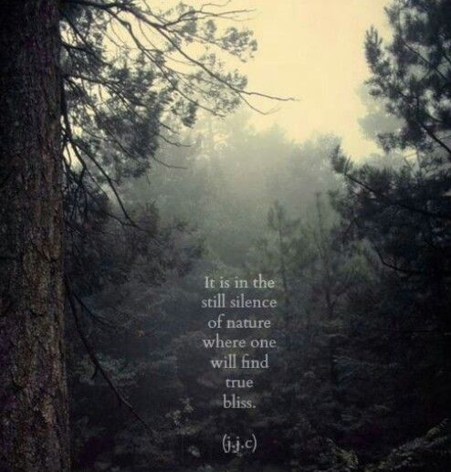 a forest filled with lots of trees in the middle of it and a bible verse written on