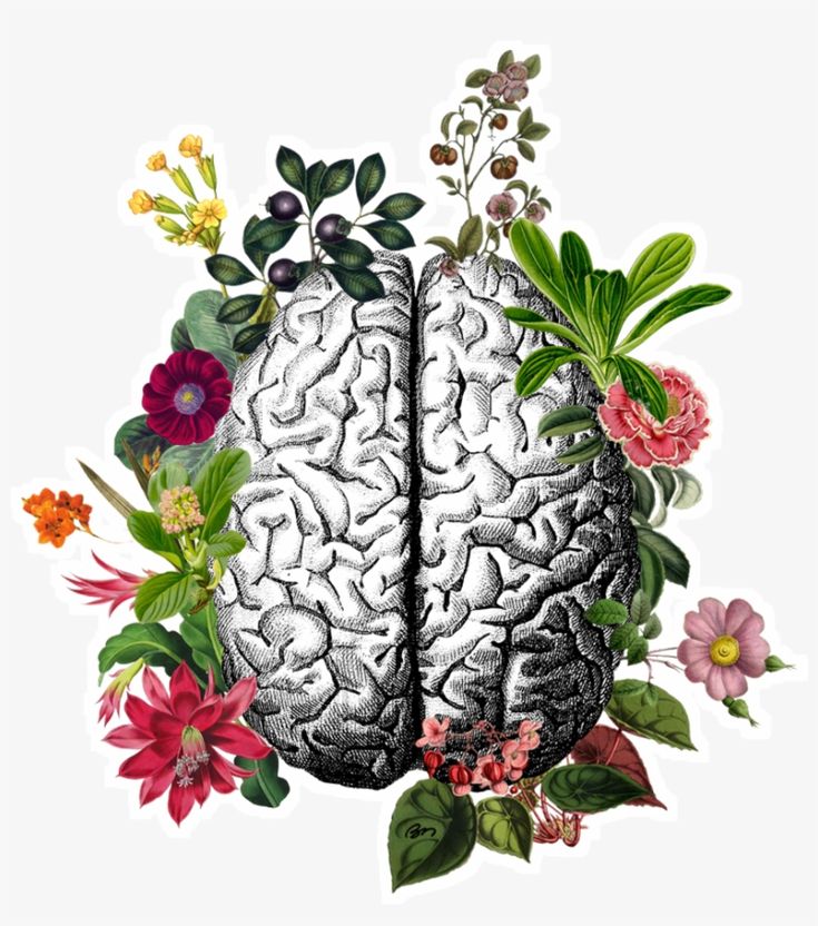 two halves of the same brain surrounded by flowers and leaves