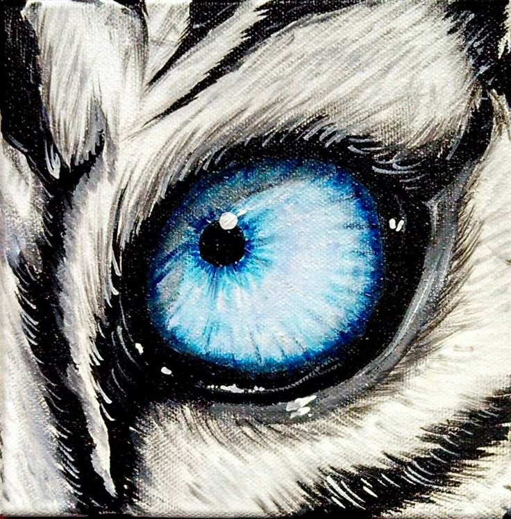 a drawing of a tiger's blue eye