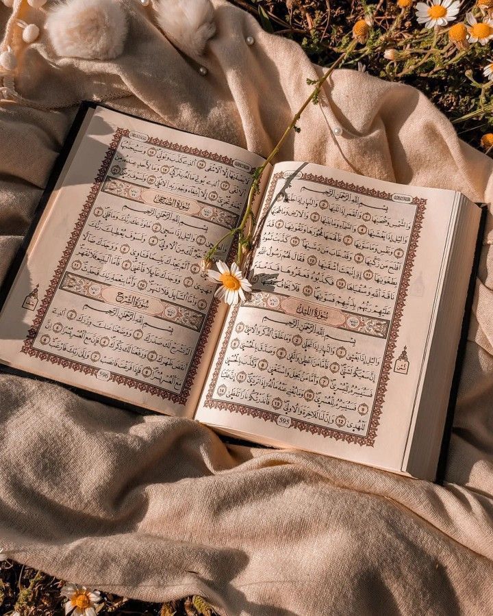 an open book laying on top of a blanket next to daisies and wildflowers