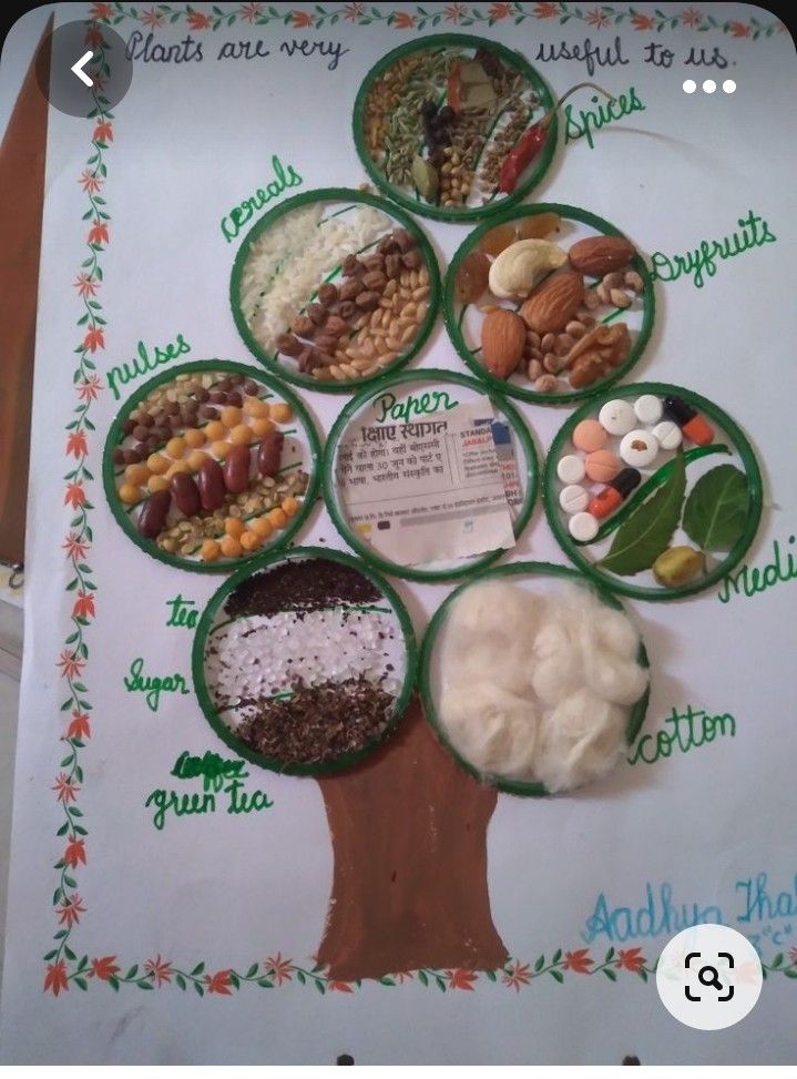 an image of a tree made out of different food items on a sheet of paper