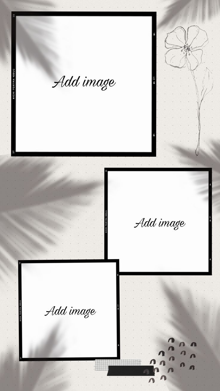 three frames are shown with the text added to them and some flowers in front of them