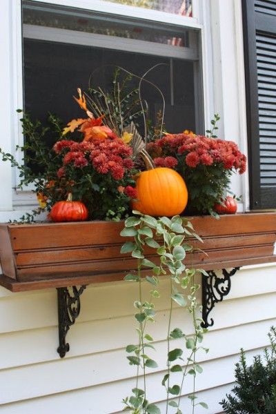 a window box filled with flowers and pumpkins