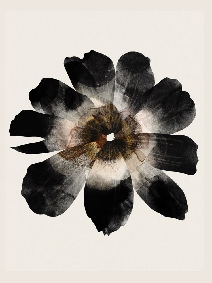 a black and white flower is in the middle of an abstract photo with watercolors