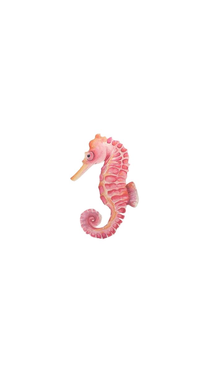 a pink and yellow sea horse on a white background