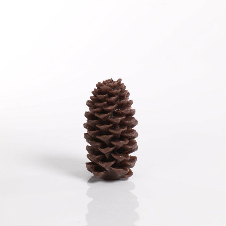 a brown pine cone sitting on top of a white table