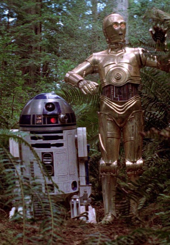 a robot standing next to a r2d2 in the middle of a forest