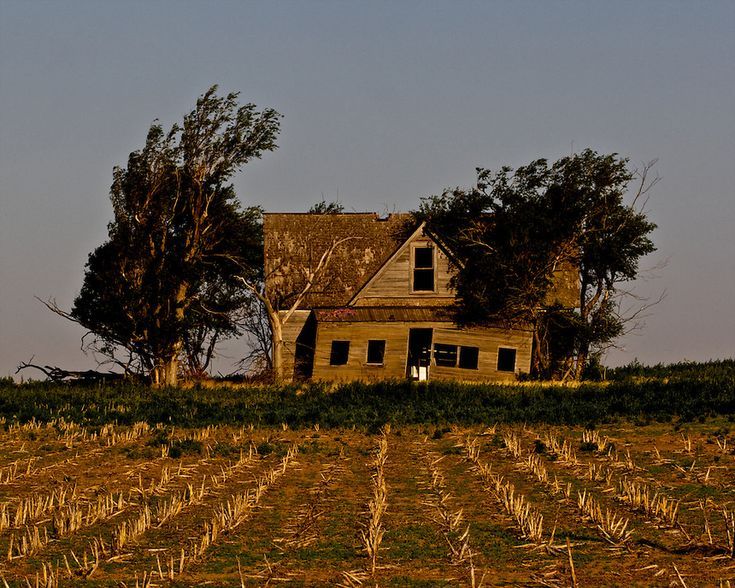 an old farm house sits in the middle of a corn field with trees on top